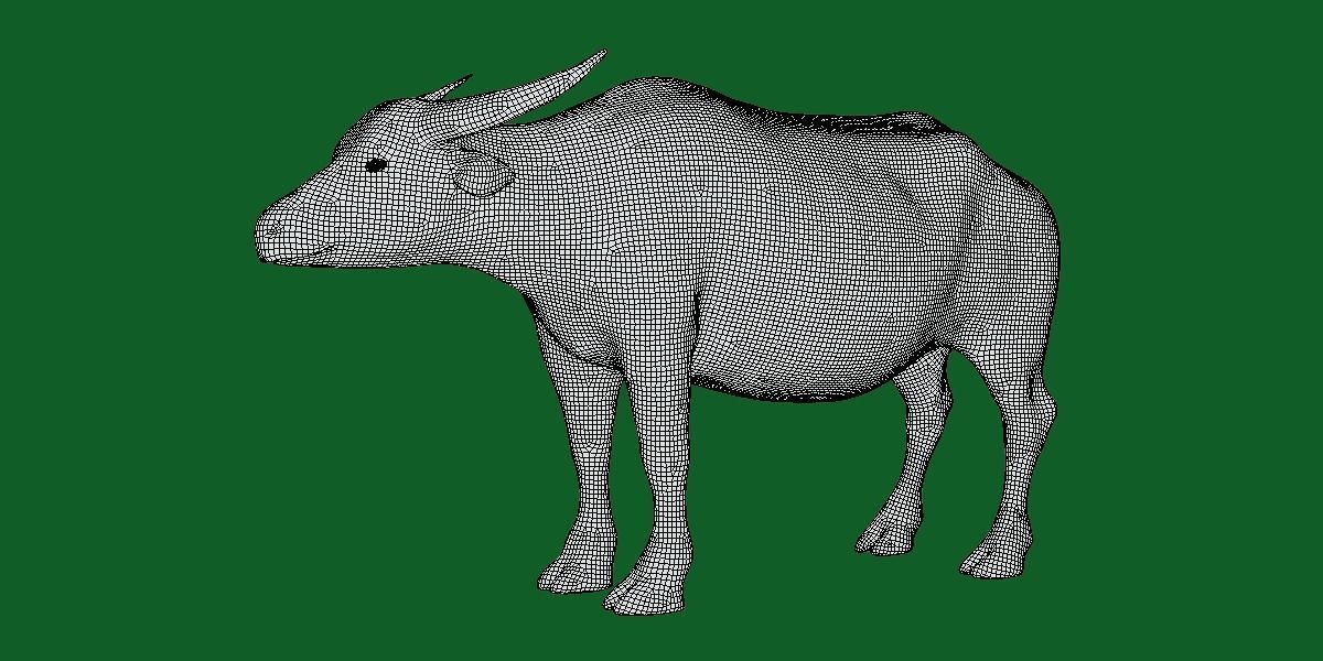 Albino Asian Water Buffalo  3D model_8