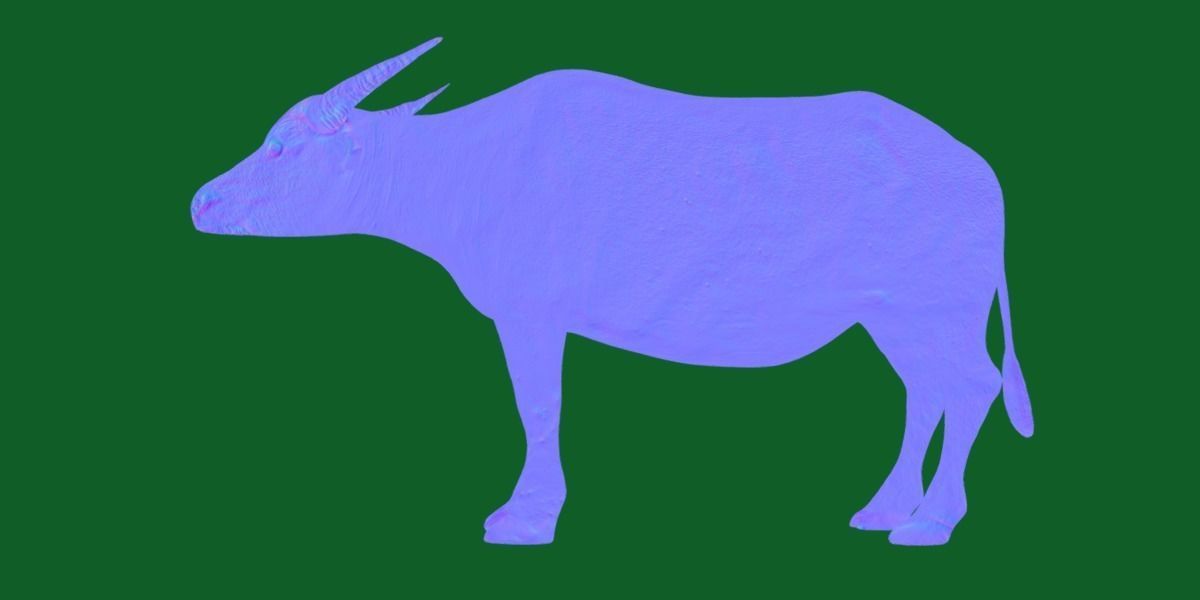 Albino Asian Water Buffalo  3D model_23