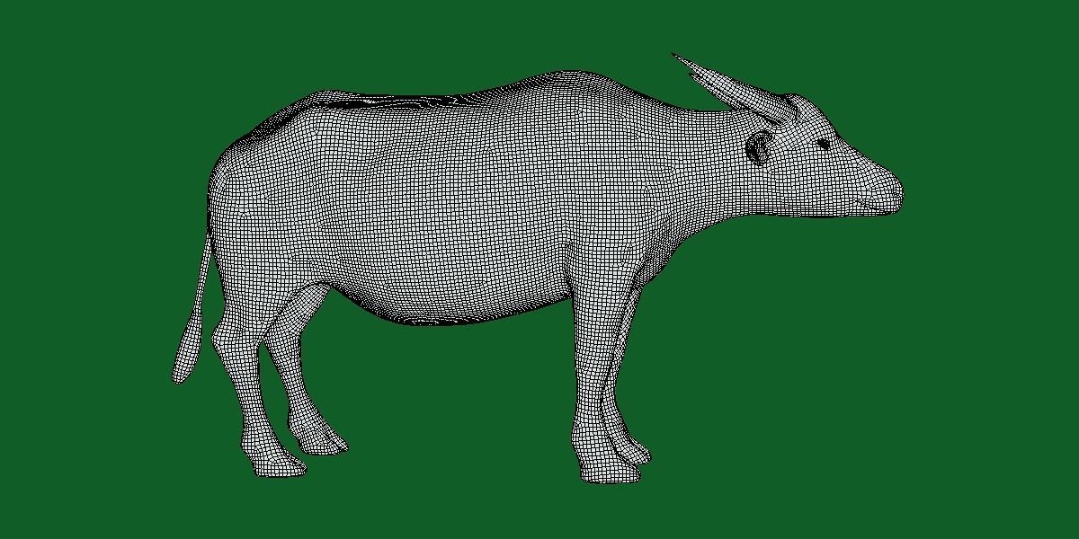 Albino Asian Water Buffalo  3D model_9