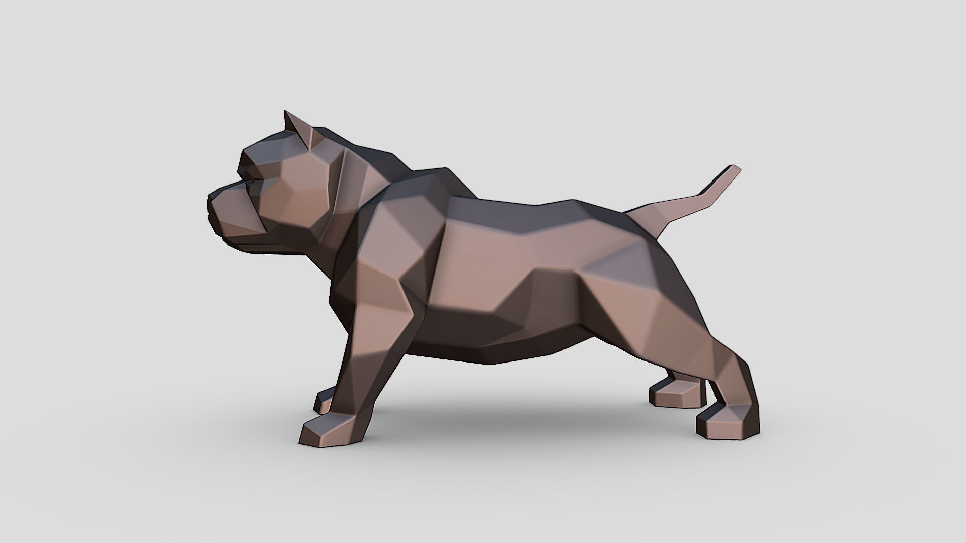 American Bully 3D print model_3