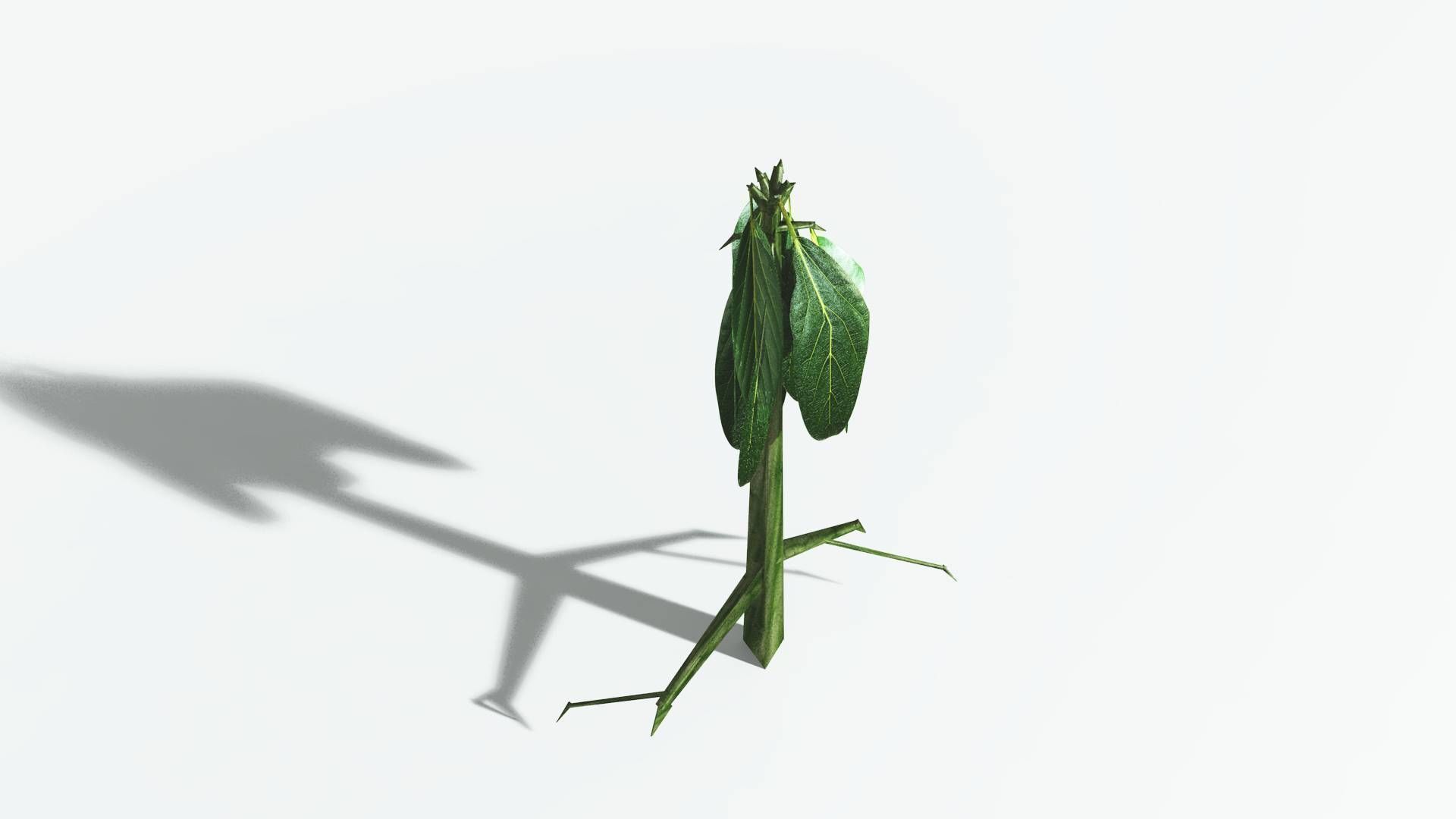 EVERYPlant Weeping Willow LowPoly 1 --15 Models-- Low-poly 3D model_28