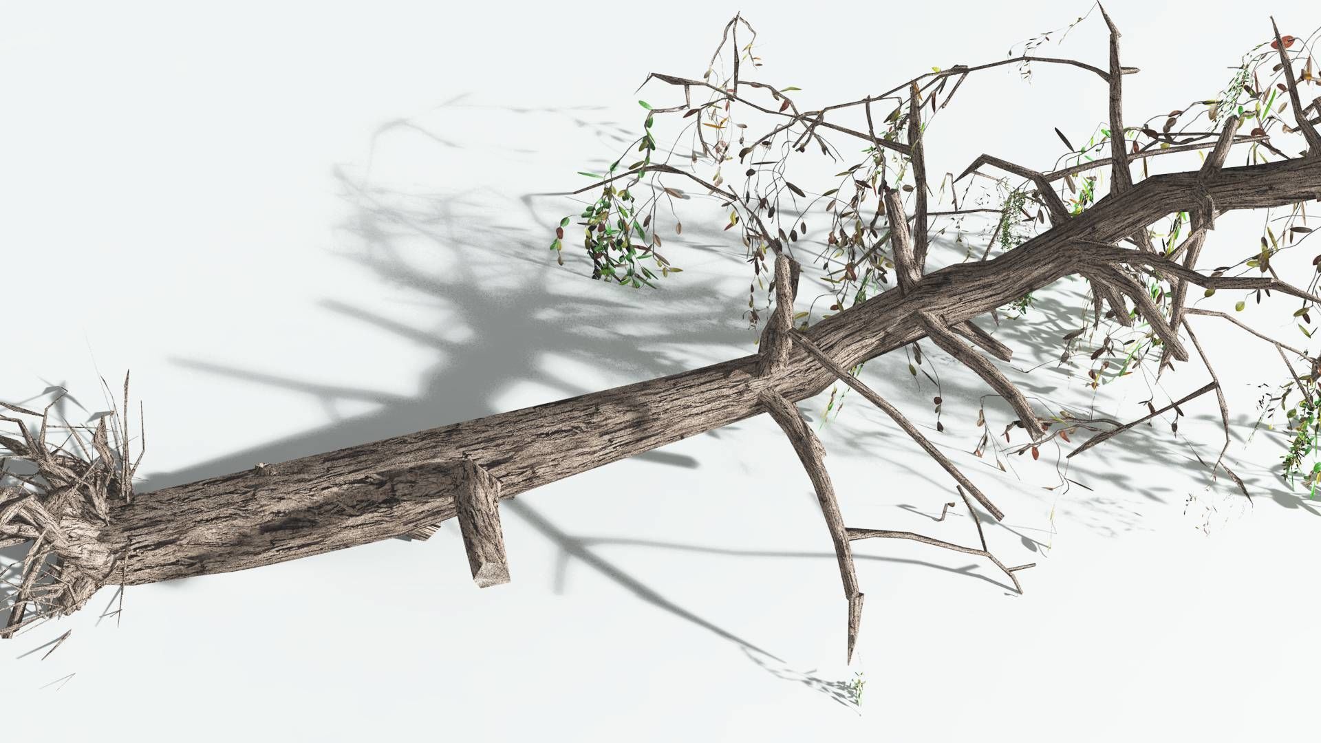 EVERYPlant Weeping Willow LowPoly 1 --15 Models-- Low-poly 3D model_20