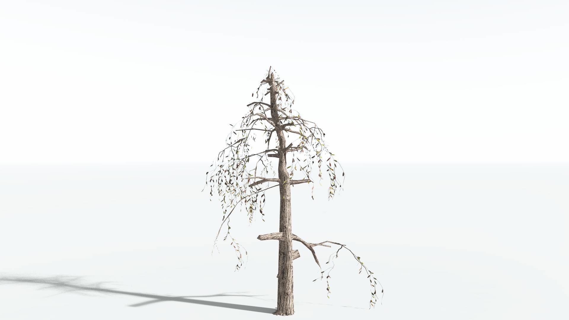 EVERYPlant Weeping Willow LowPoly 1 --15 Models-- Low-poly 3D model_17