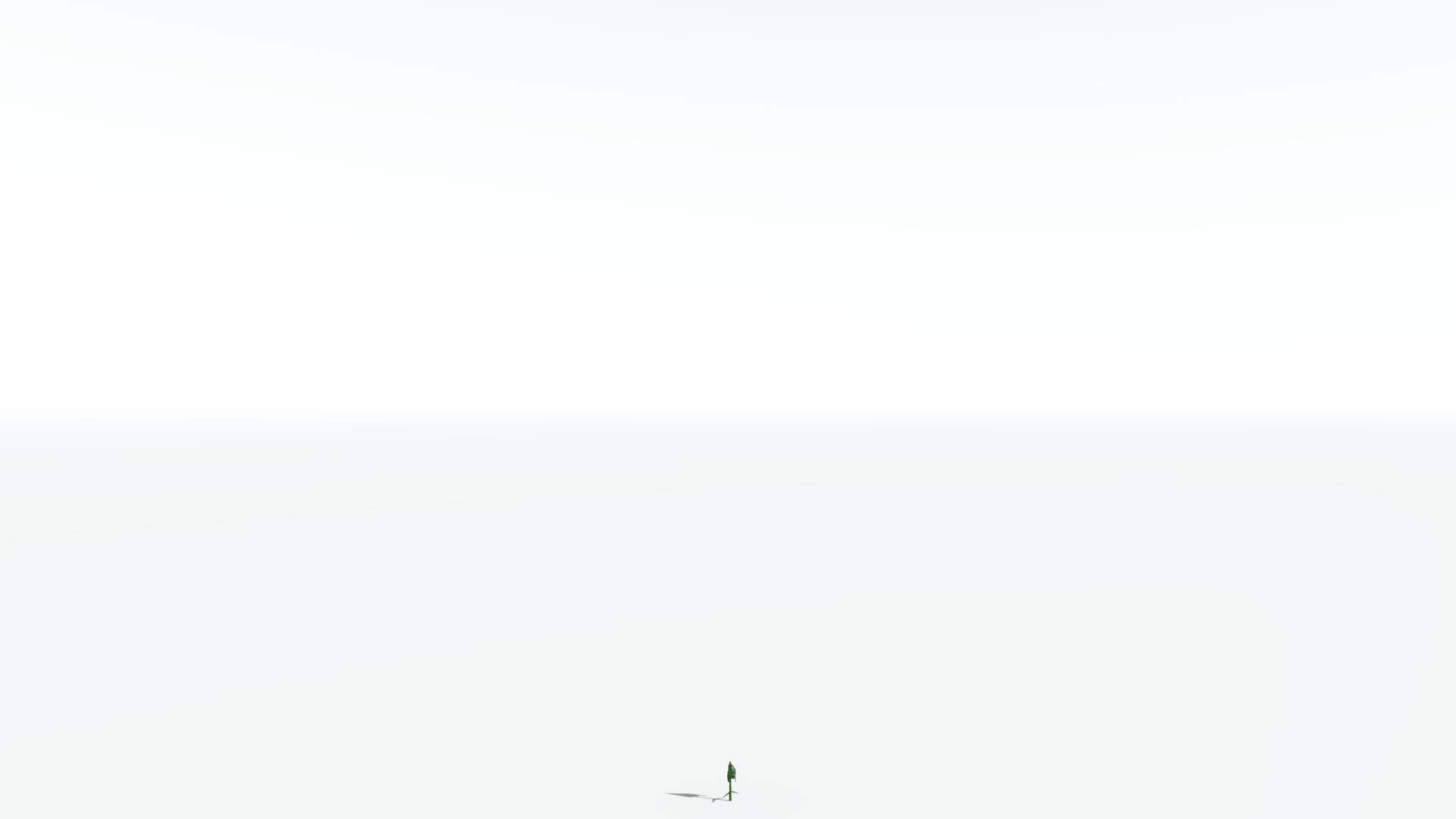 EVERYPlant Weeping Willow LowPoly 1 --15 Models-- Low-poly 3D model_27