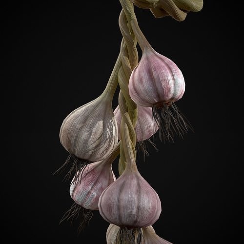Hanging Garlic Low-poly 3D model 5