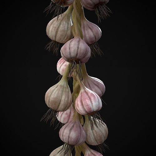 Hanging Garlic Low-poly 3D model 7