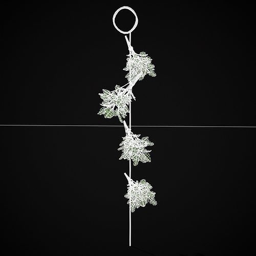 Hanging Parsley Low-poly 3D model 2