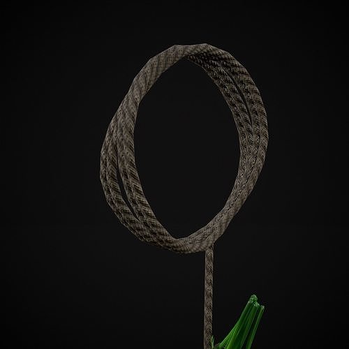 Hanging Parsley Low-poly 3D model 7