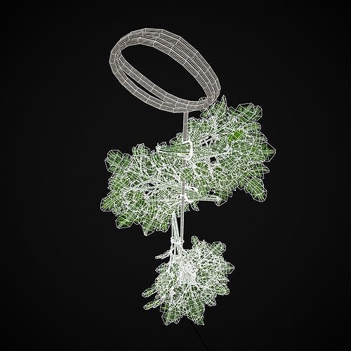Hanging Parsley Low-poly 3D model 6