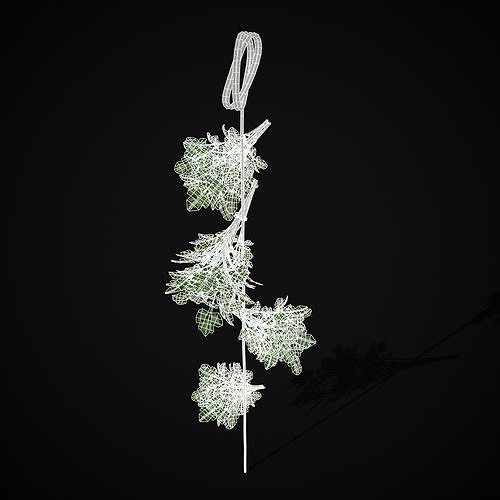 Hanging Parsley Low-poly 3D model 4