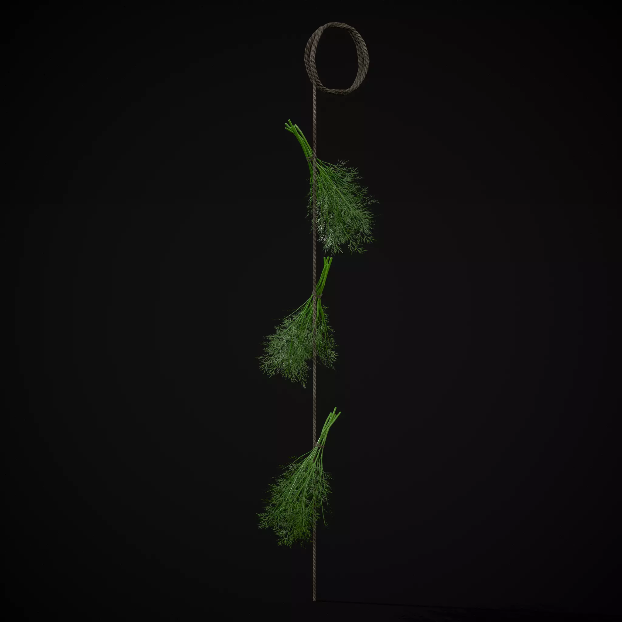 Hanging Dills Low-poly 3D model