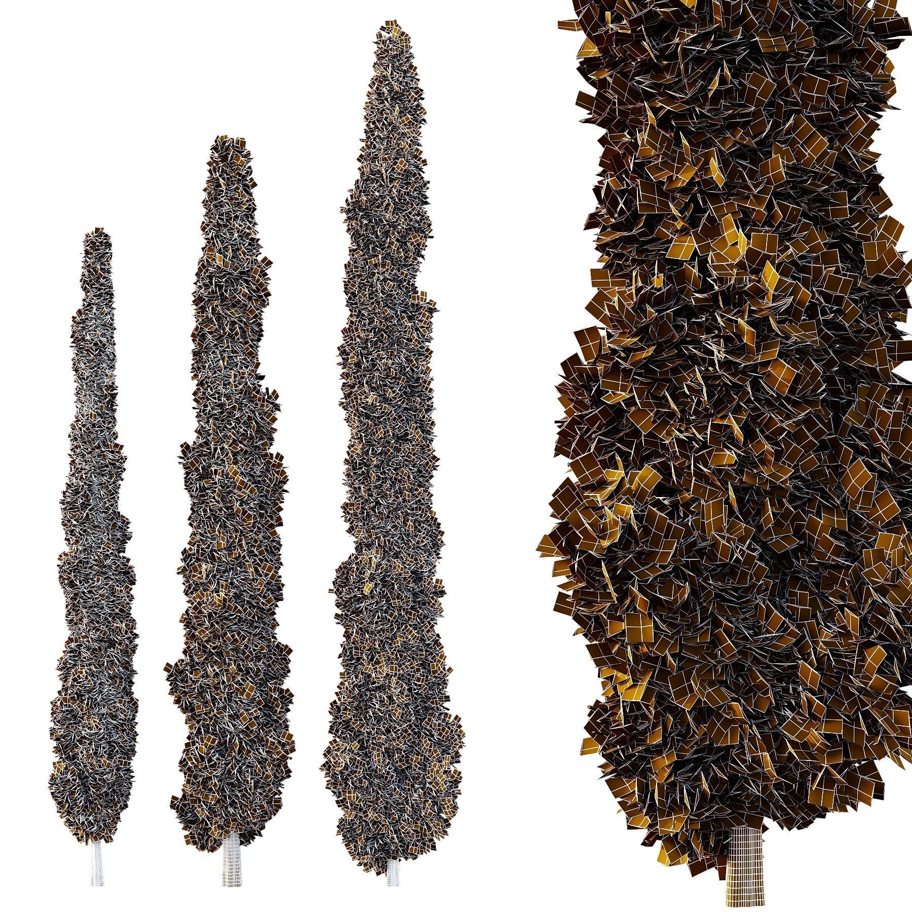 Italian Cypress Tree03 3D model_1