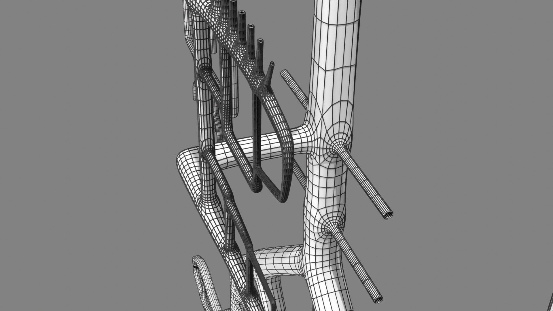 Human arterial system schematic 3D 3D model_136