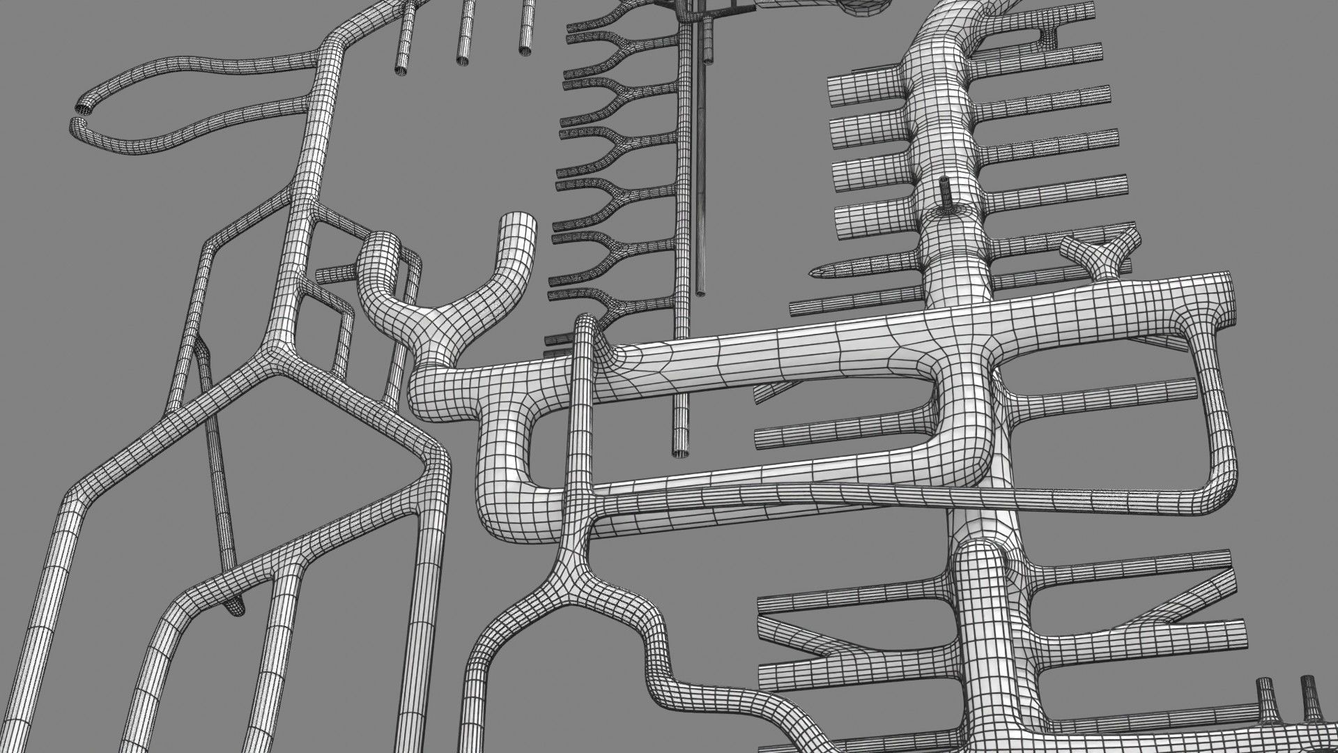 Human arterial system schematic 3D 3D model_141