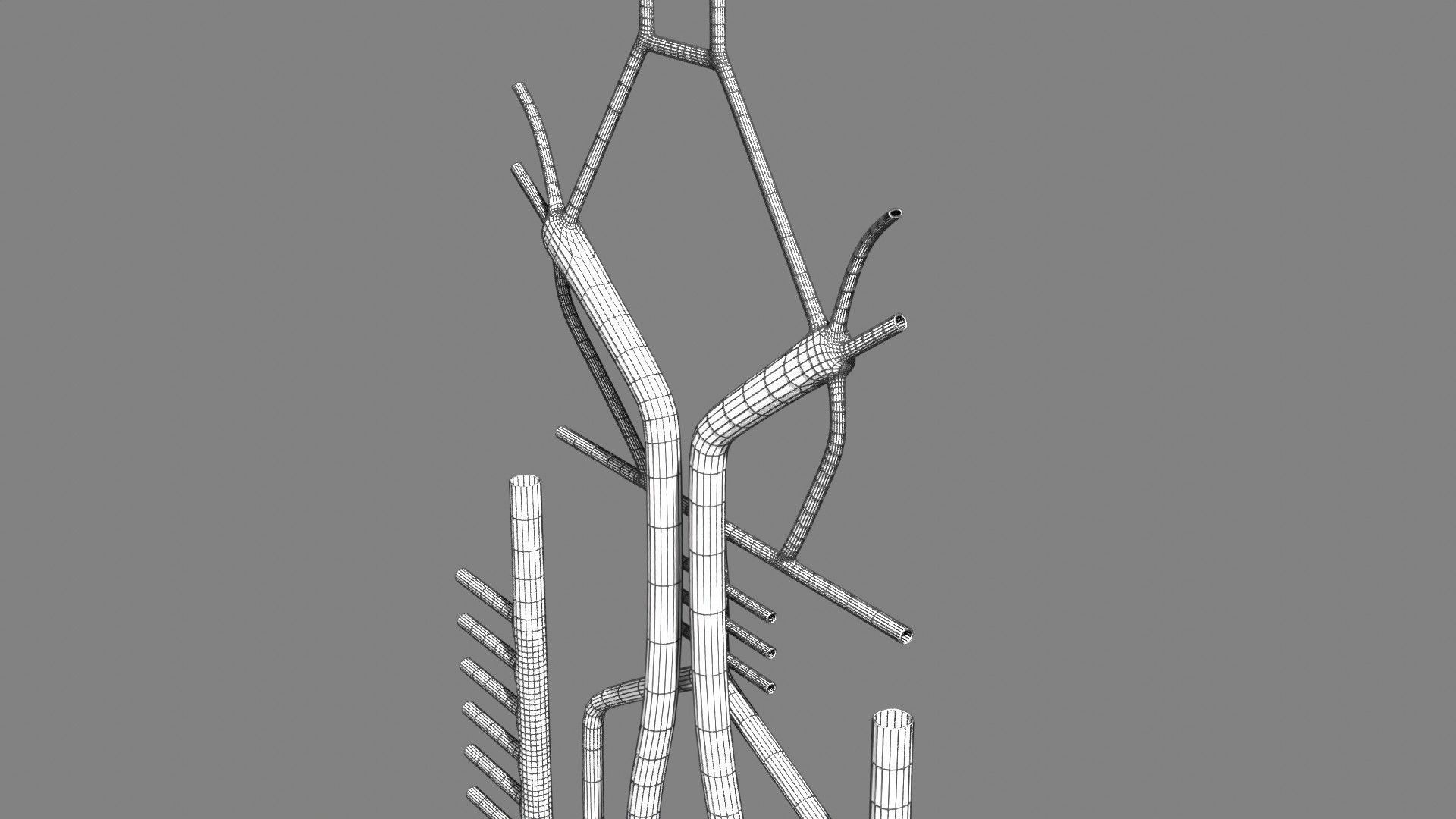 Human arterial system schematic 3D 3D model_119