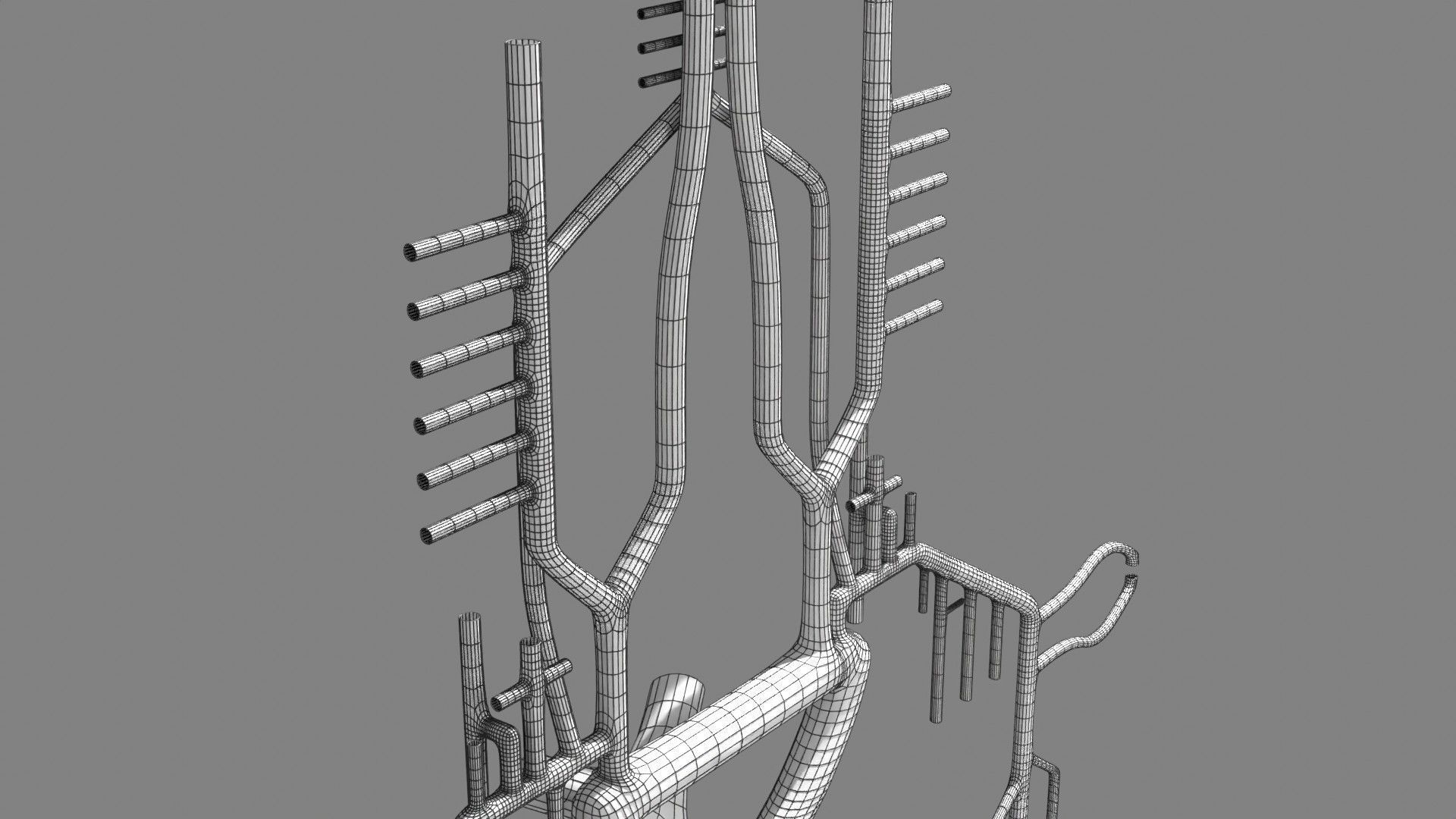Human arterial system schematic 3D 3D model_120