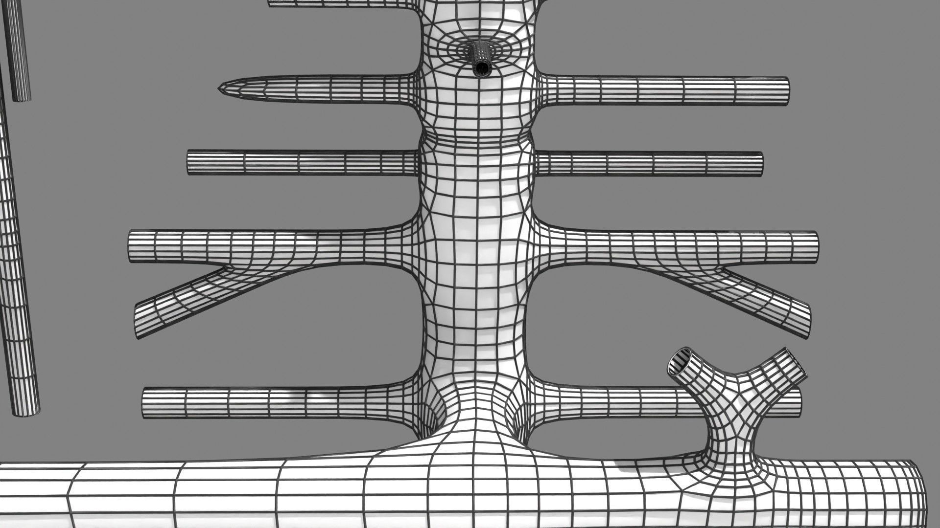 Human arterial system schematic 3D 3D model_132