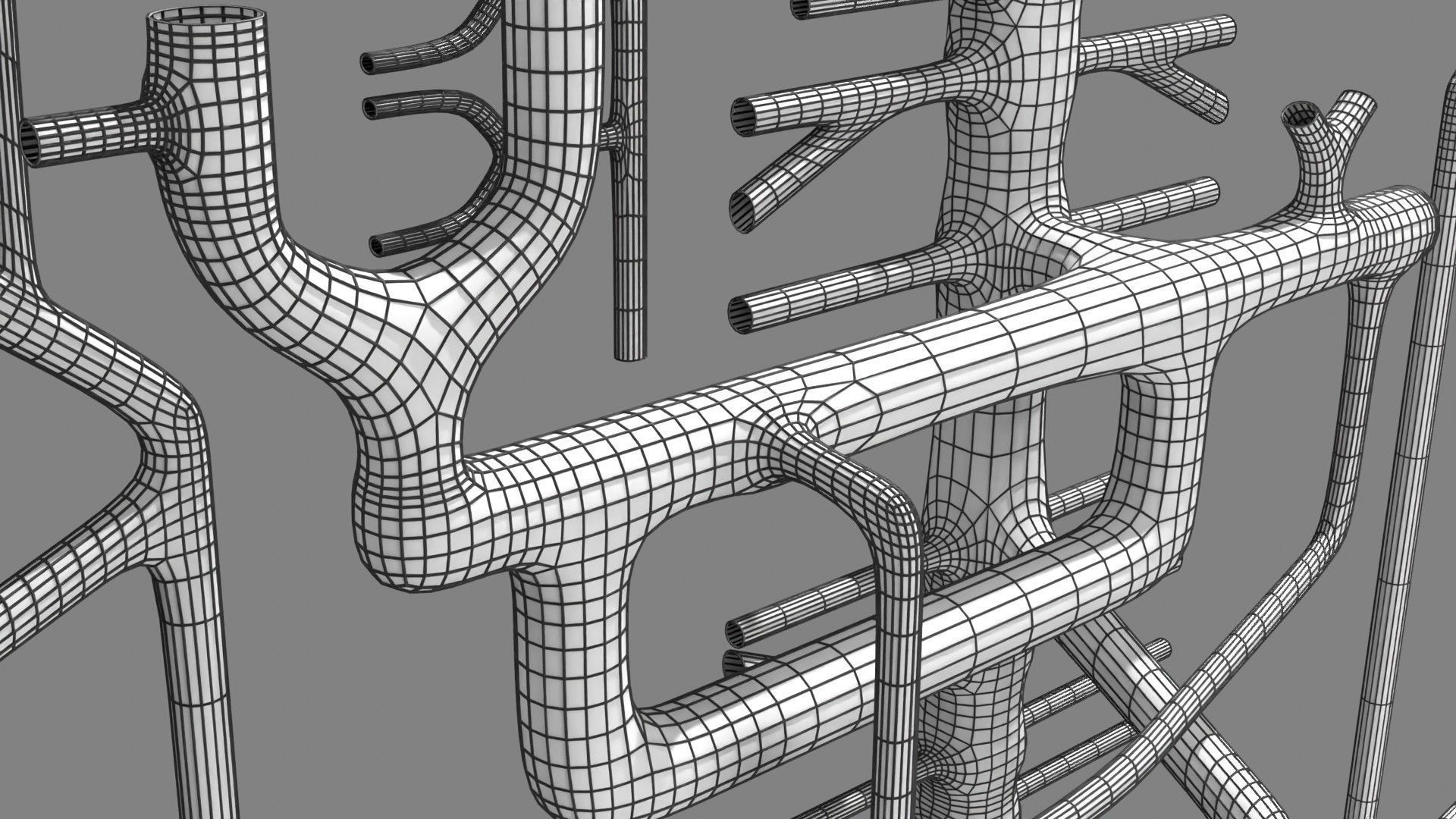 Human arterial system schematic 3D 3D model_134
