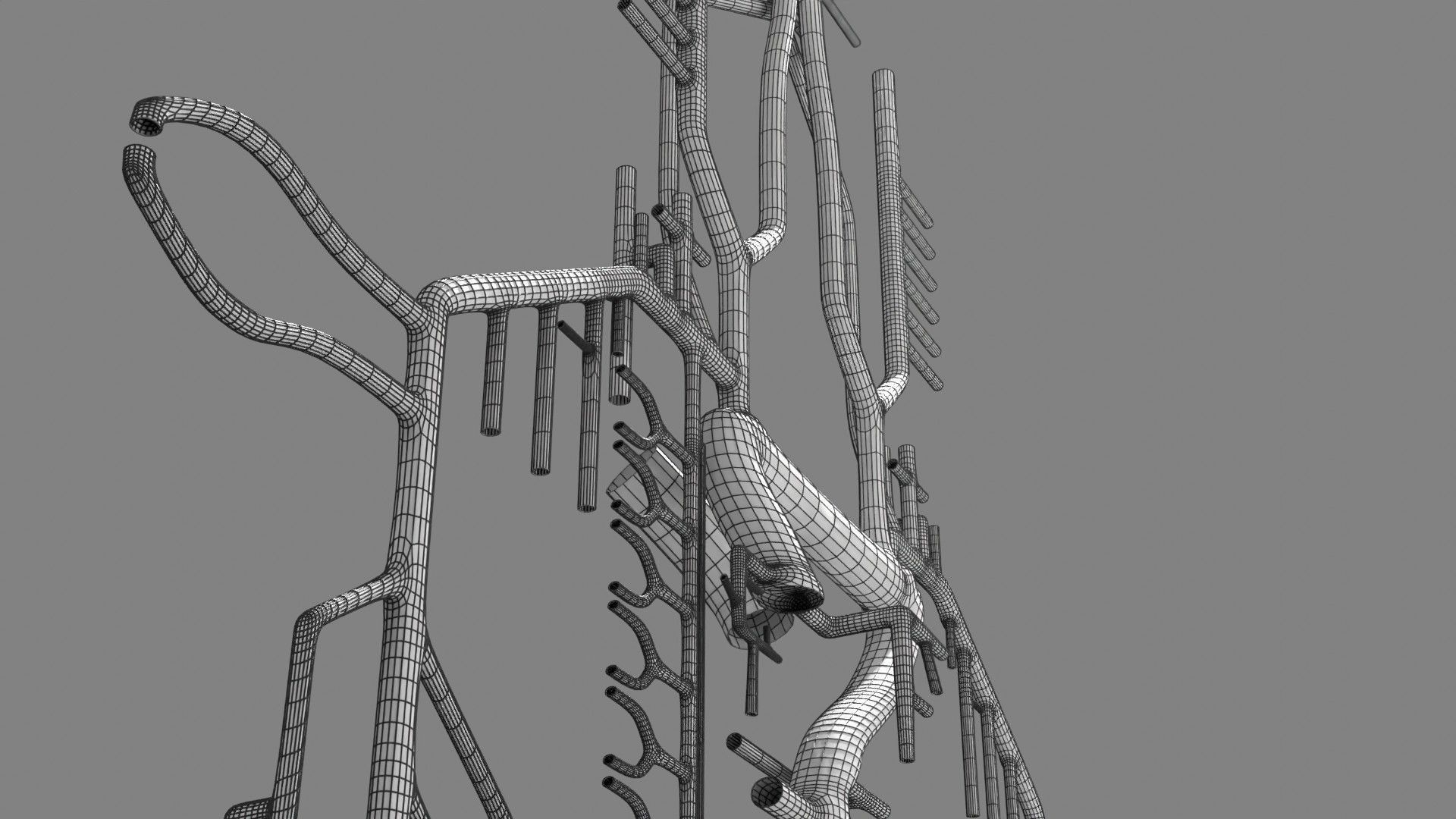 Human arterial system schematic 3D 3D model_128