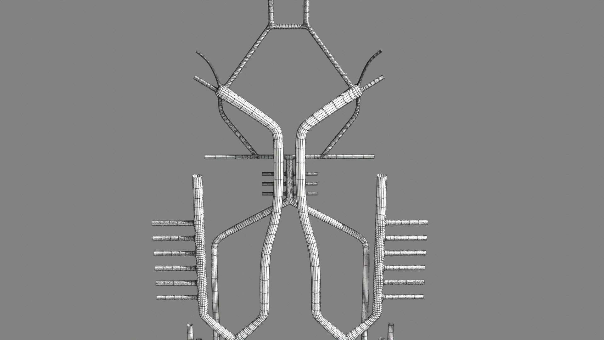 Human arterial system schematic 3D 3D model_118
