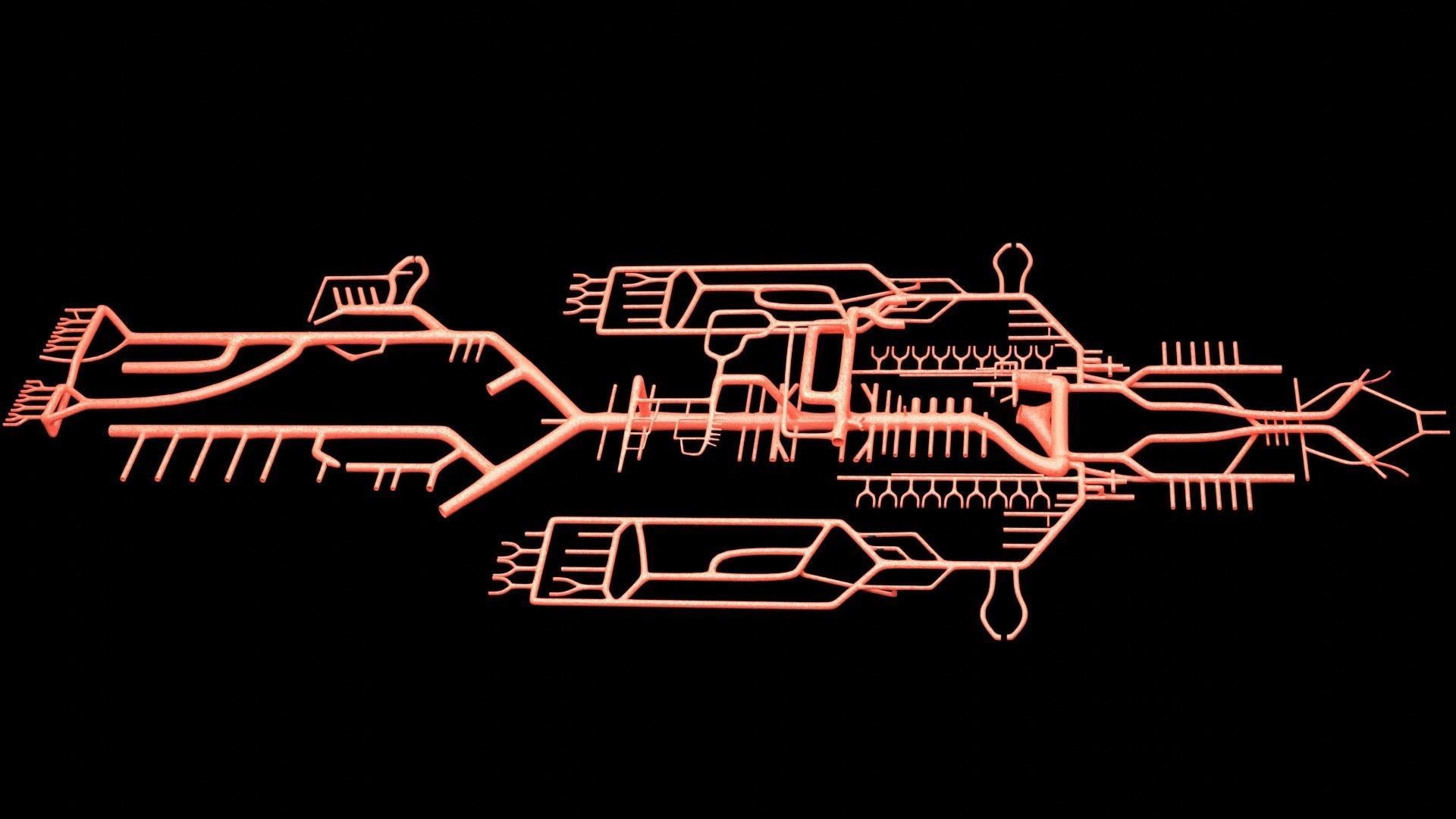 Human arterial system schematic 3D 3D model_87