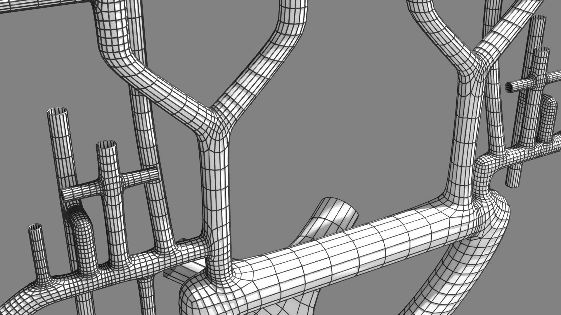 Human arterial system schematic 3D 3D model_123