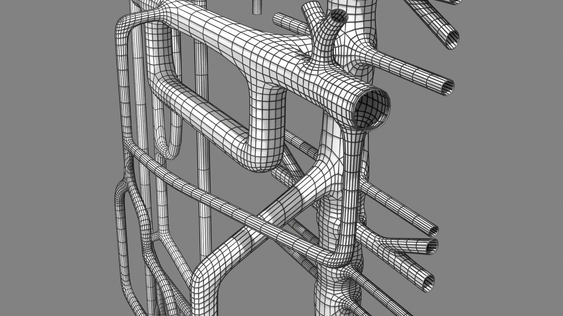 Human arterial system schematic 3D 3D model_133
