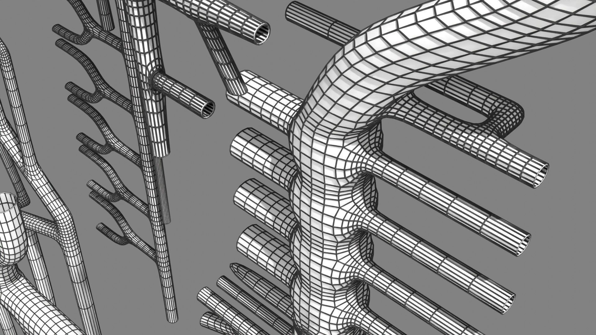Human arterial system schematic 3D 3D model_131