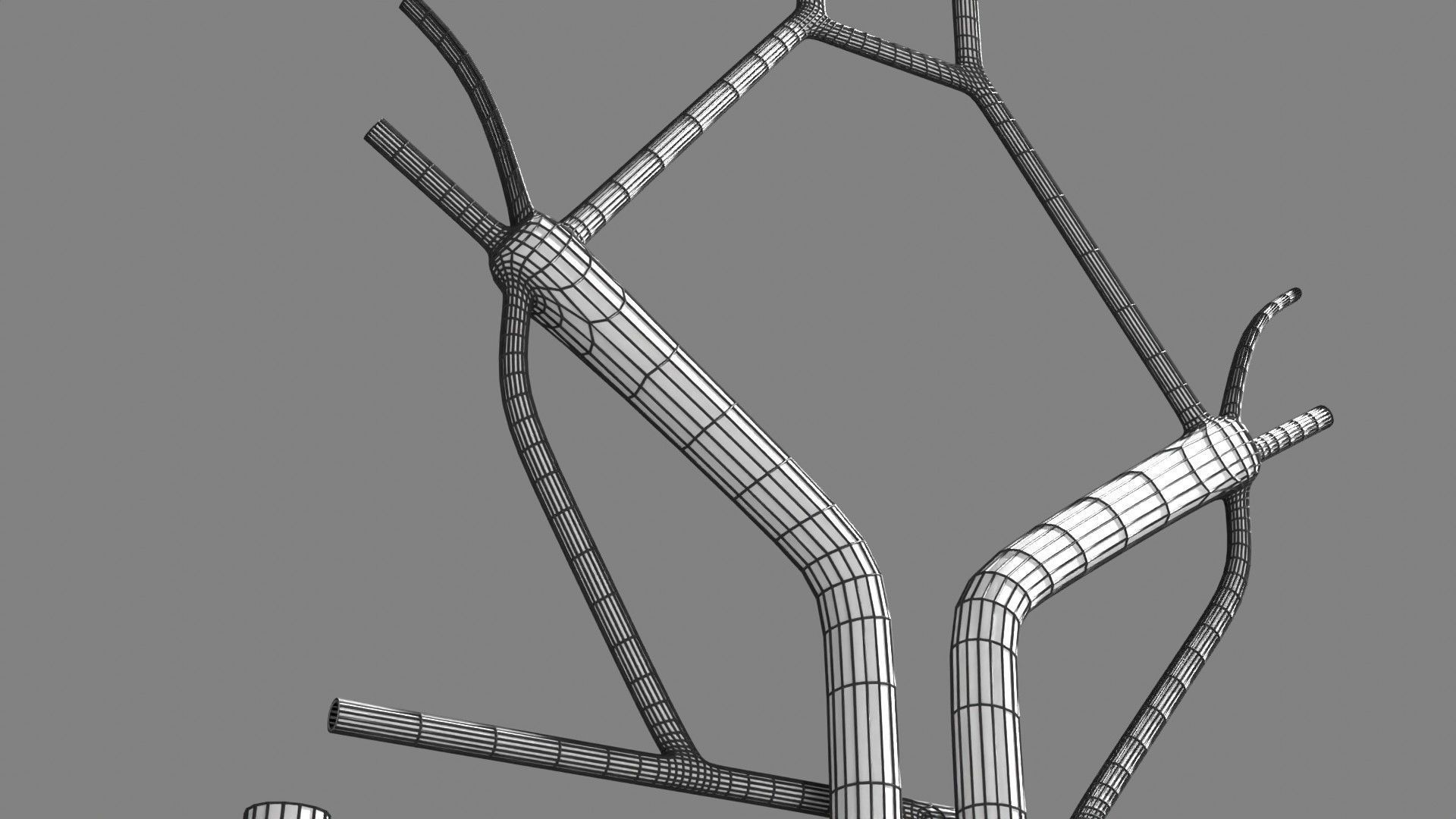 Human arterial system schematic 3D 3D model_124