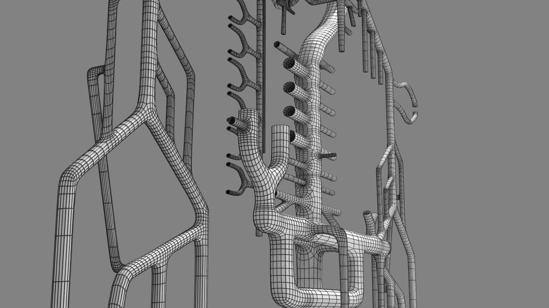 Human arterial system schematic 3D 3D model_127
