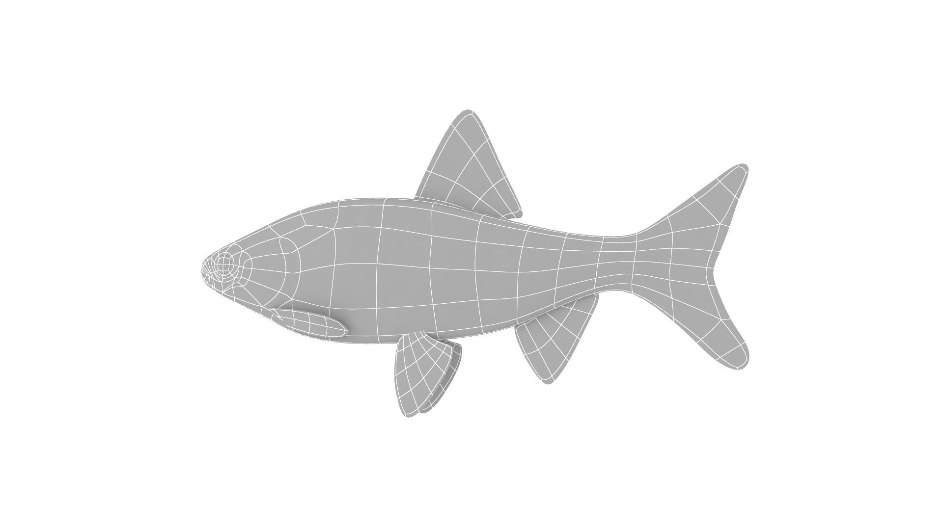 Fish Collection 3D model_24