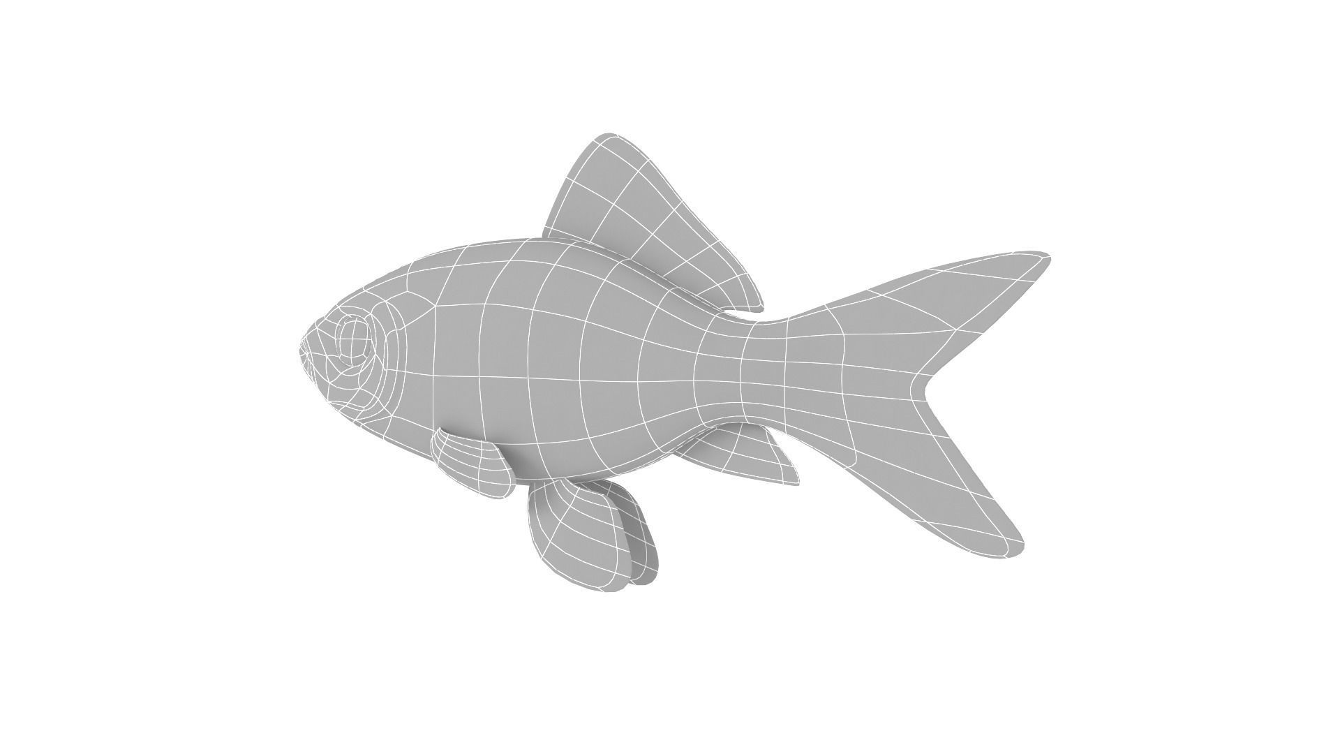 Fish Collection 3D model_31