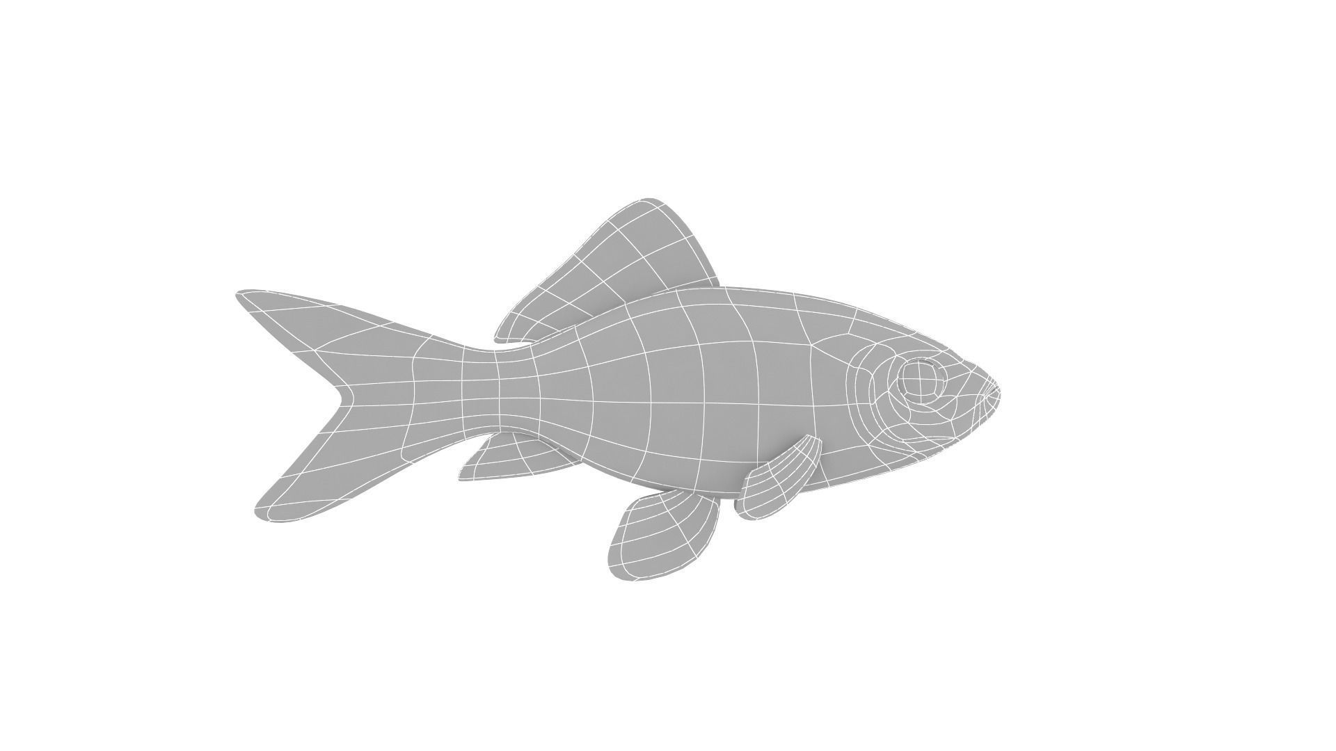 Fish Collection 3D model_25