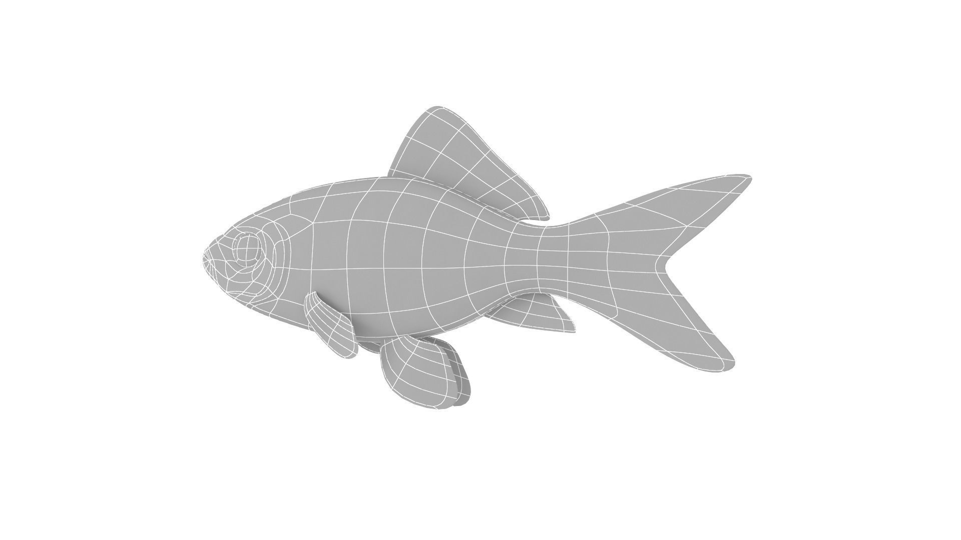 Fish Collection 3D model_29