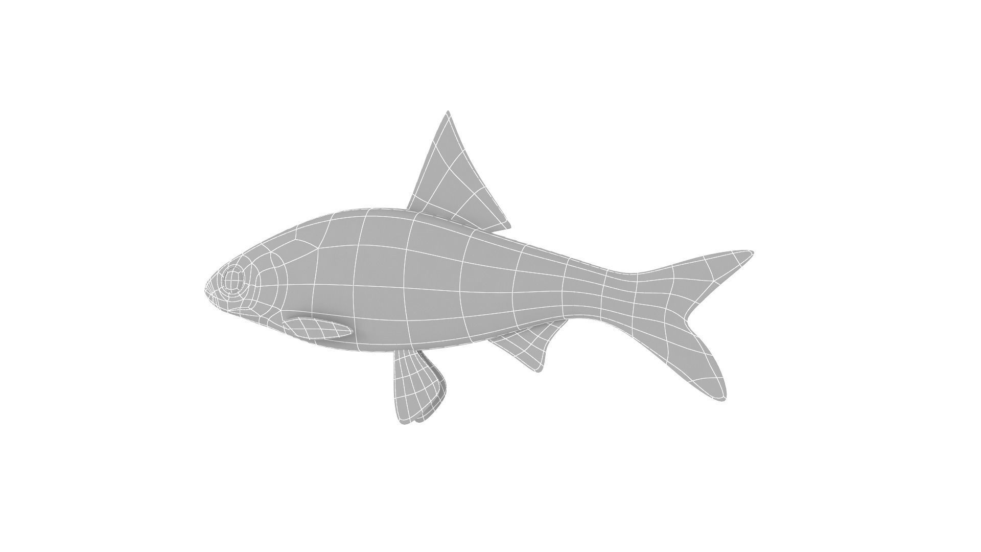 Fish Collection 3D model_22
