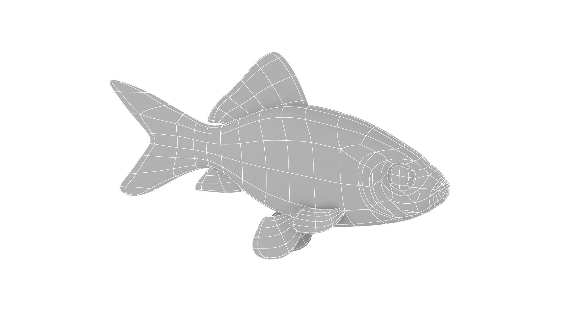 Fish Collection 3D model_36