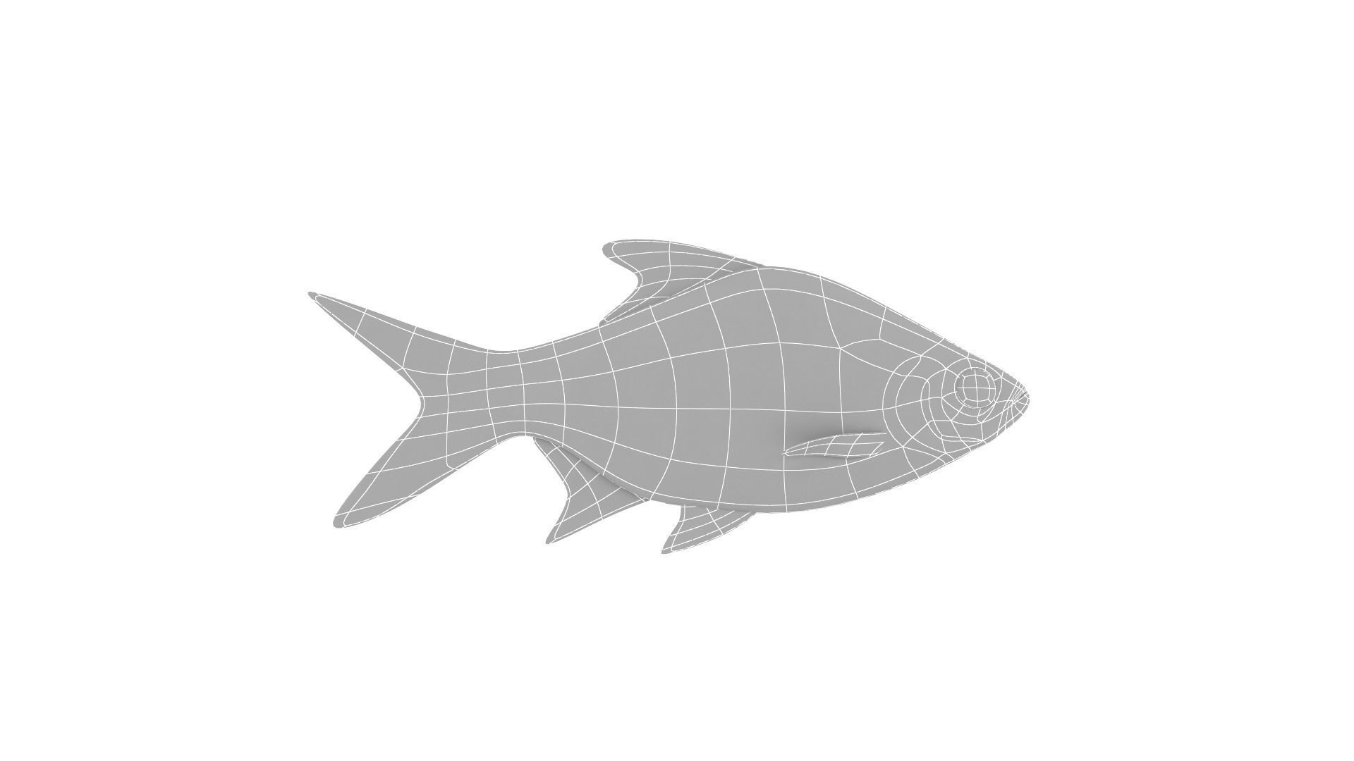 Fish Collection 3D model_30