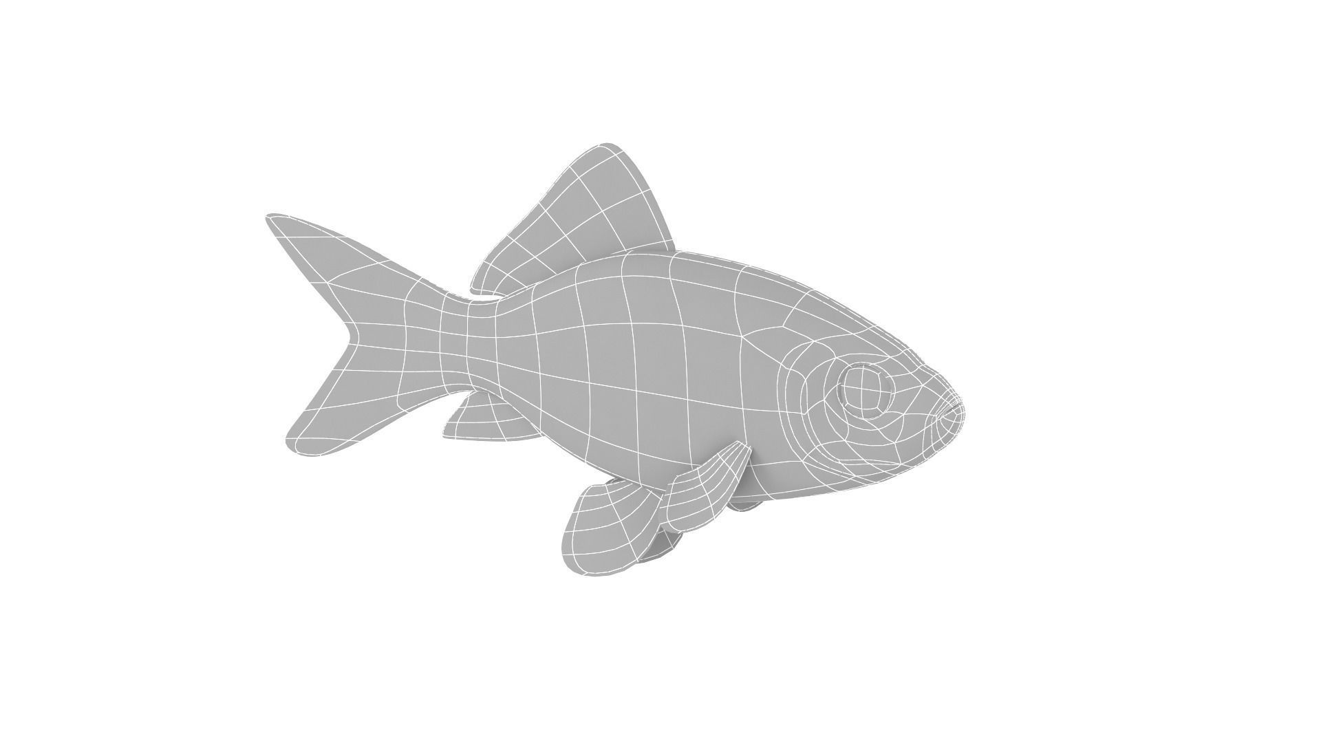 Fish Collection 3D model_34