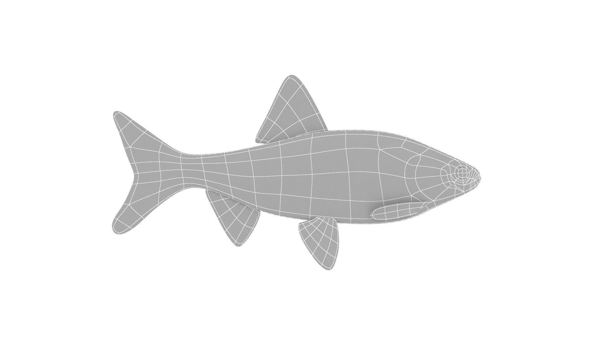 Fish Collection 3D model_35