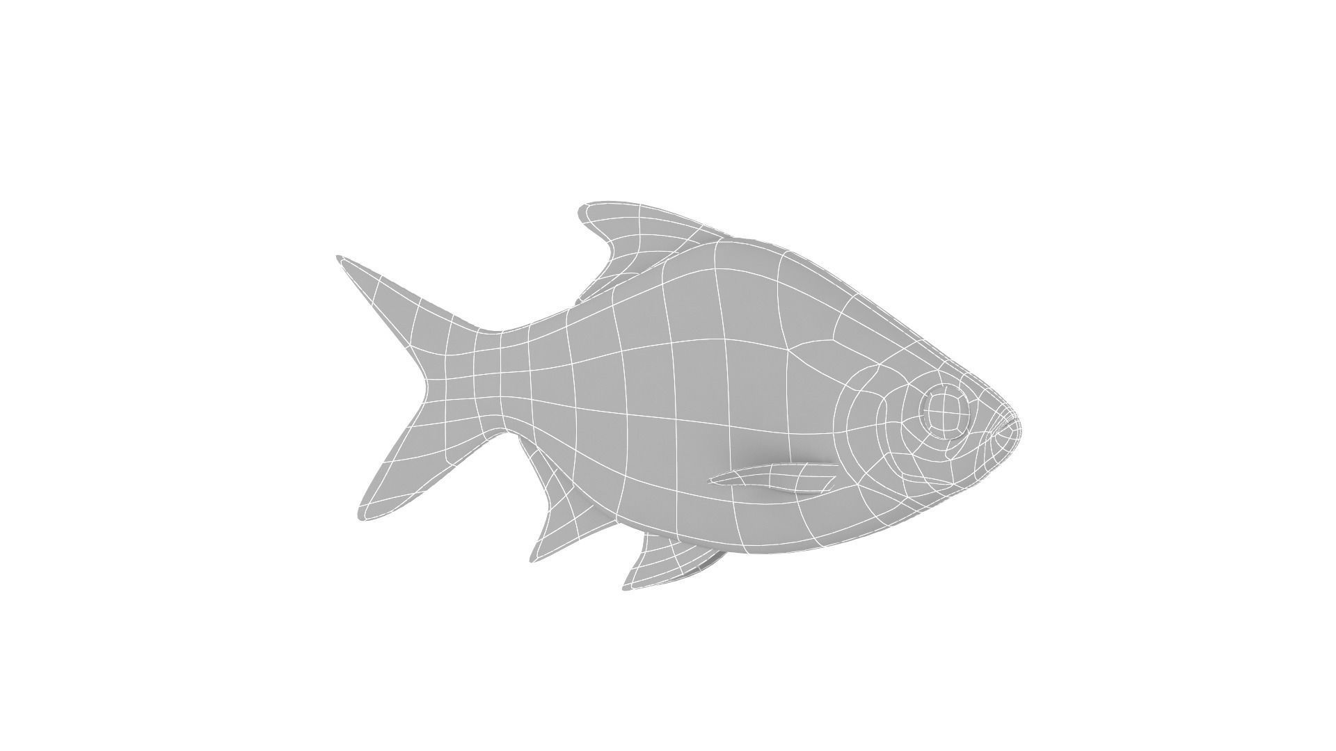 Fish Collection 3D model_26