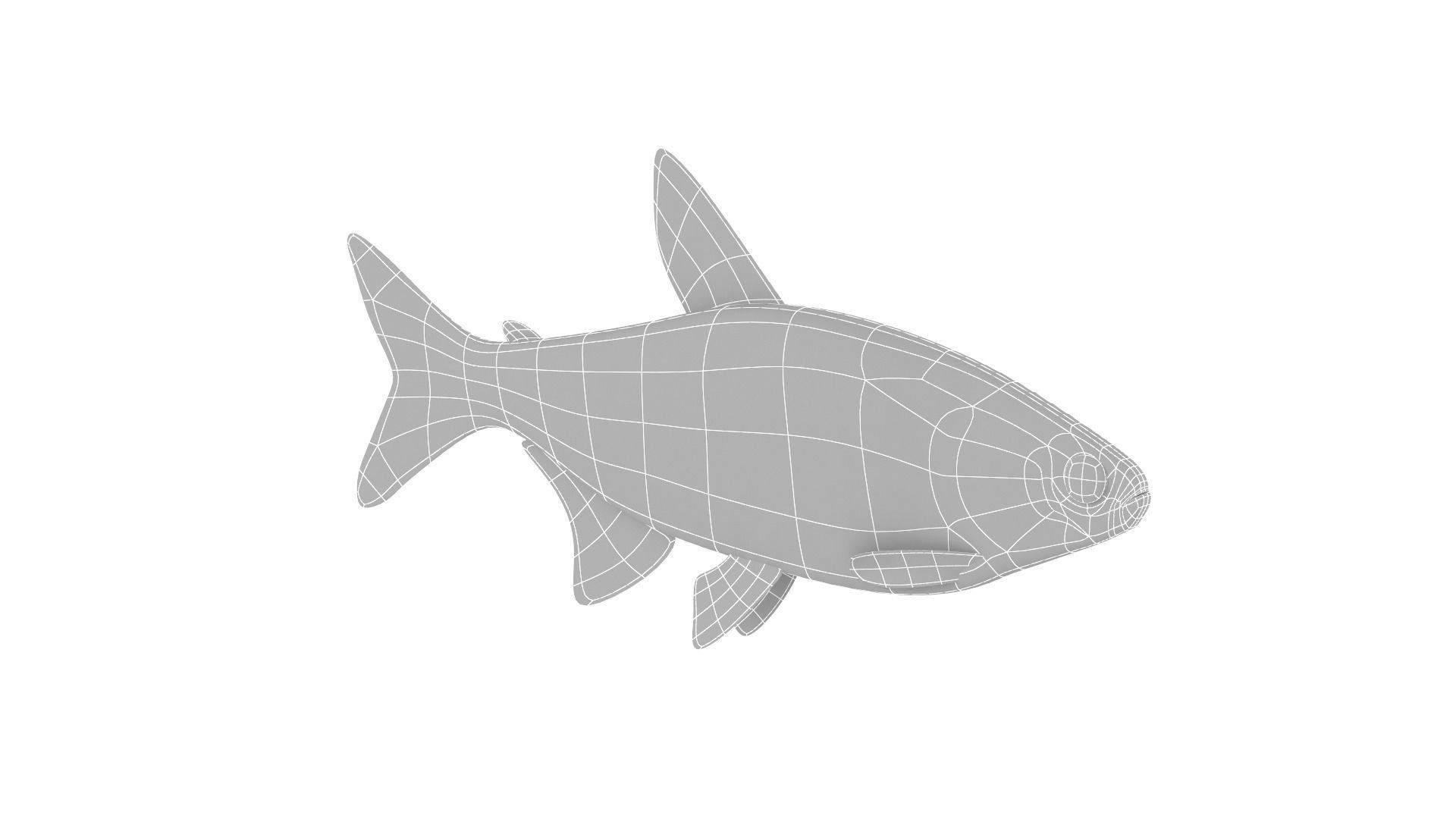 Fish Collection 3D model_32
