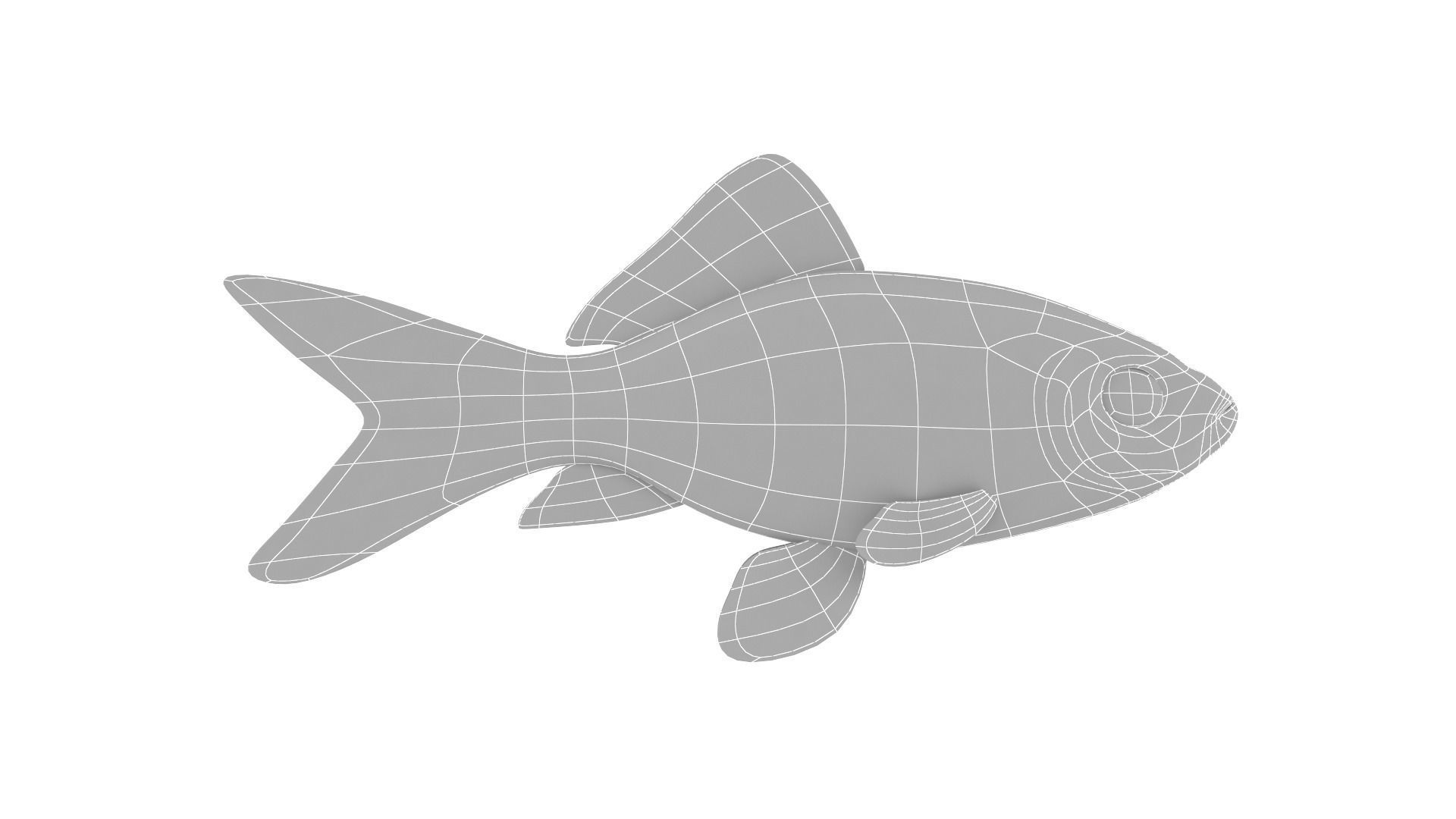 Fish Collection 3D model_37