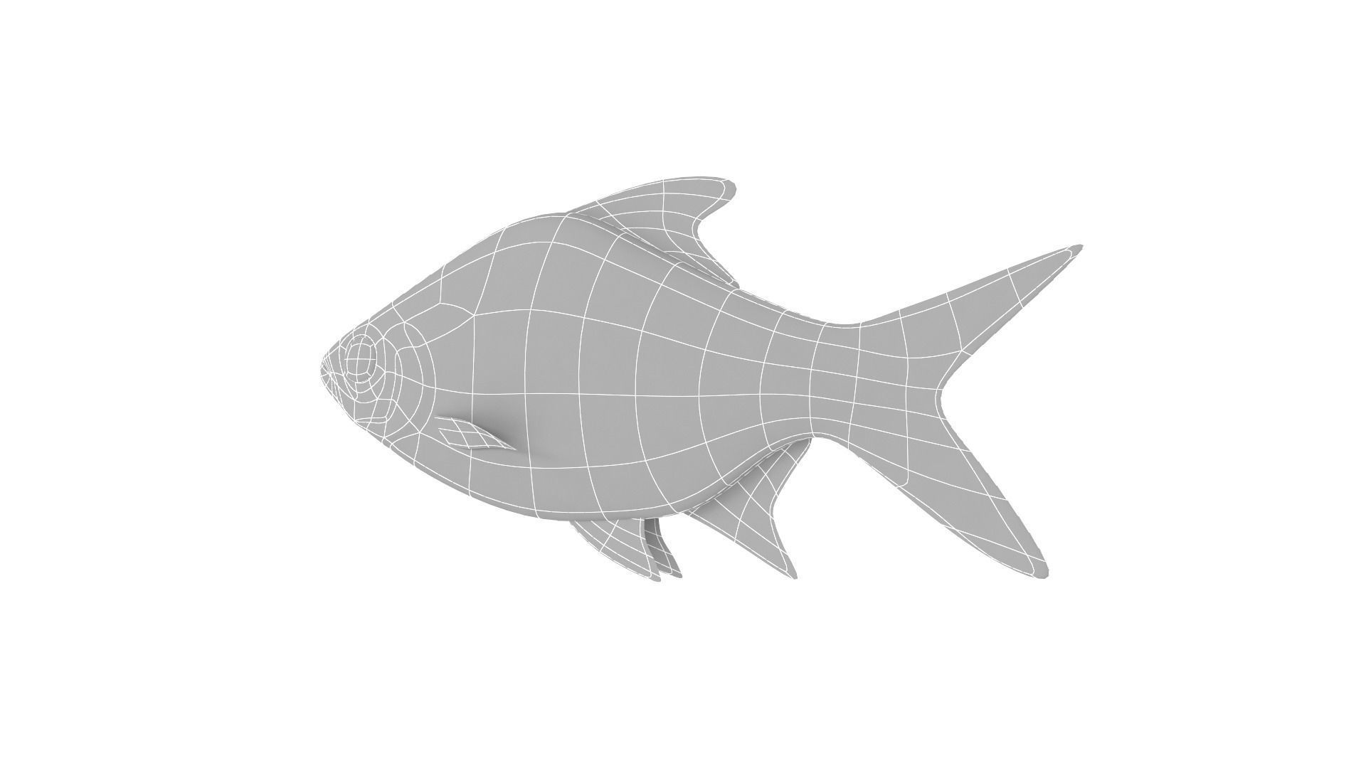Fish Collection 3D model_27