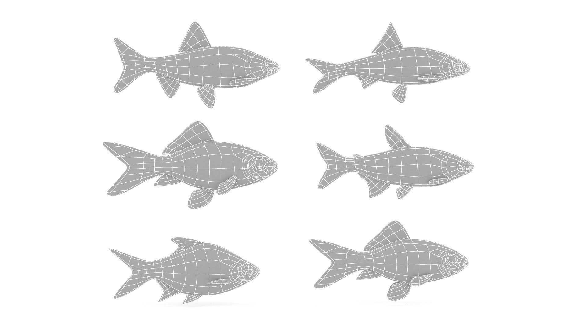 Fish Collection 3D model_19