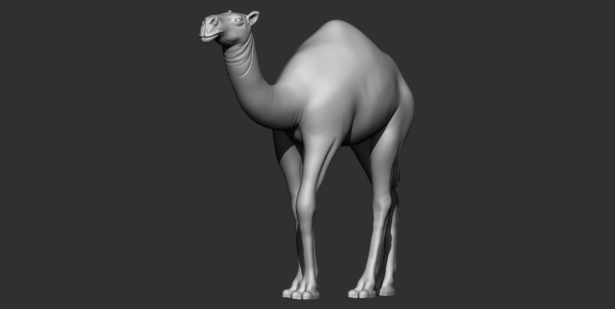 Camel 3d printable model 3D print model_3