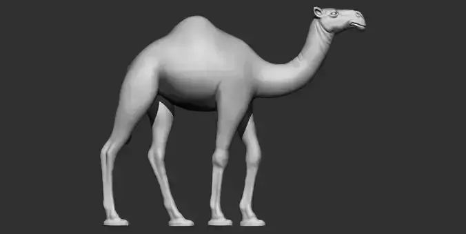 Camel 3d printable model 3D print model