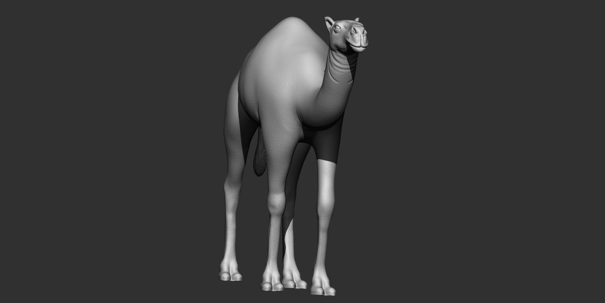 Camel 3d printable model 3D print model_4