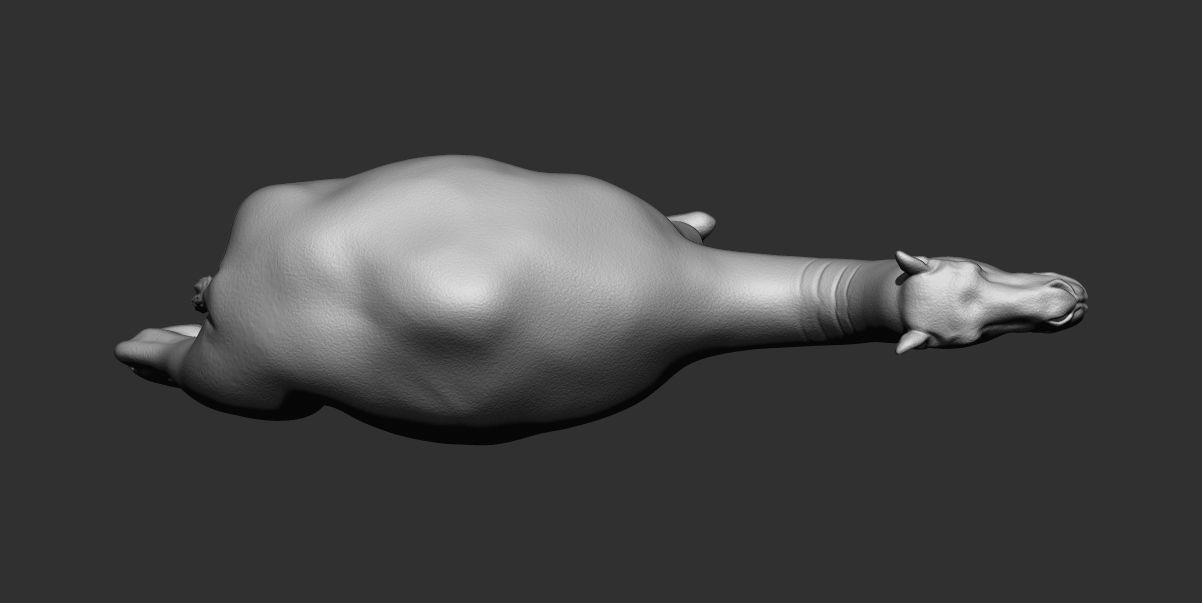 Camel 3d printable model 3D print model_2