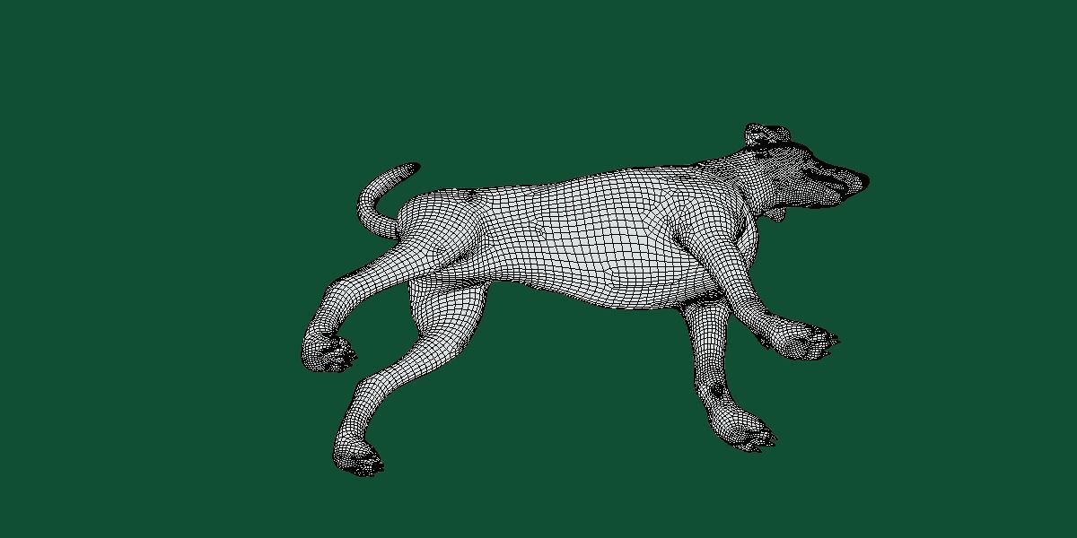 Dobermann Pinscher Dog Natural Breed 3D model_3