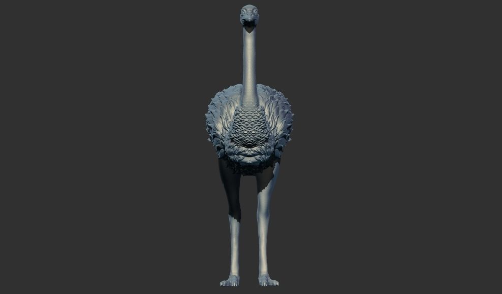 ostrich 3D print model 3D print model_1